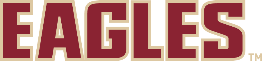 Boston College Eagles 2016-2021 Wordmark Logo diy iron on heat transfer